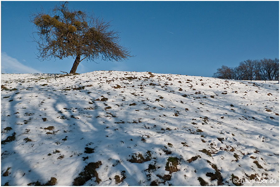 Wenn der Wind pfeift...
