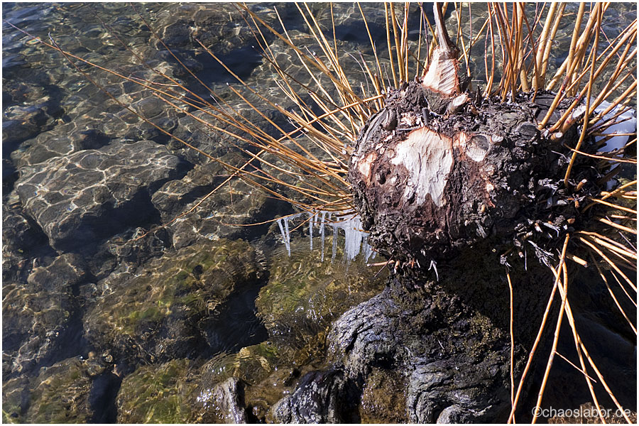 Die letzten Eiszapfen