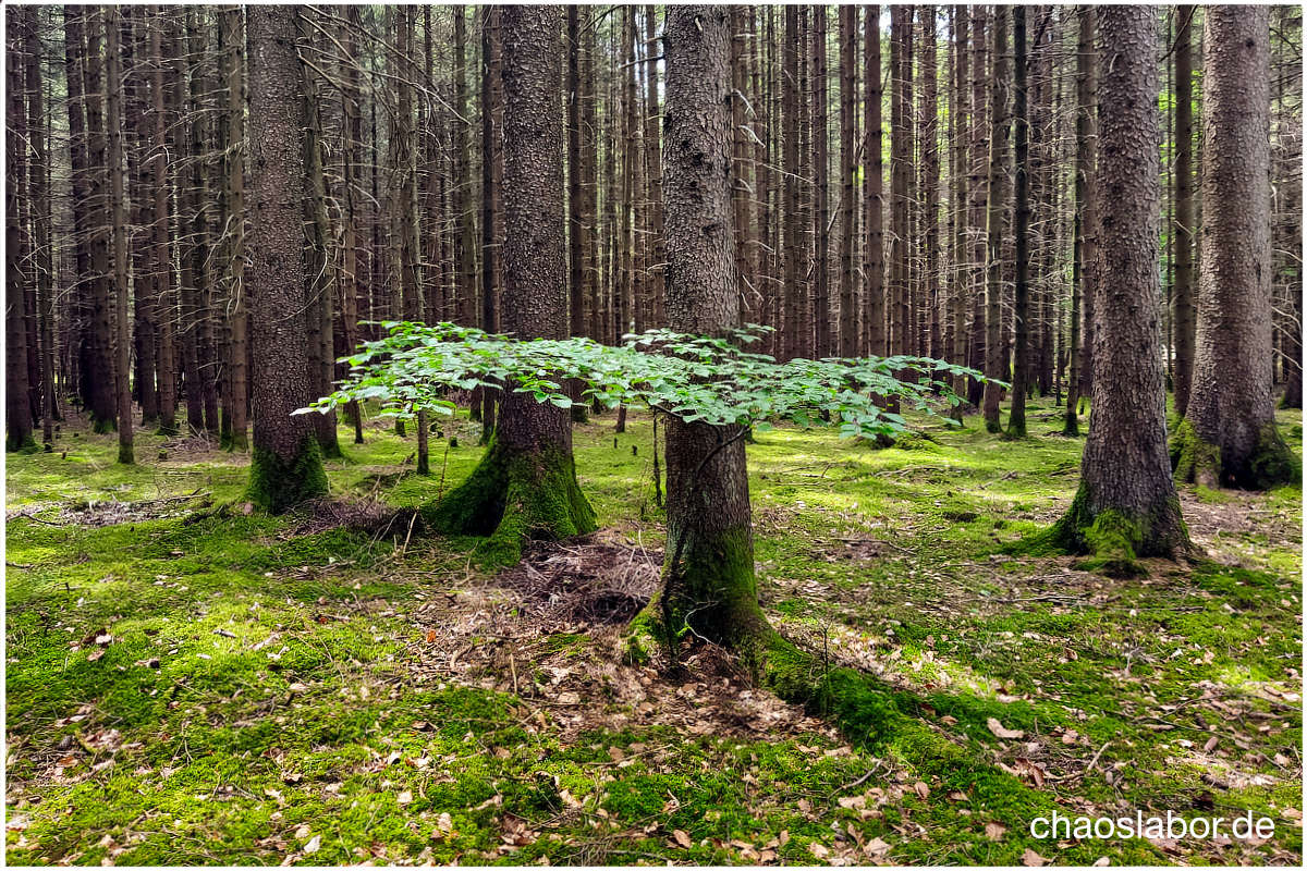 Flach - über 1 Million Visits bei chaoslabor!